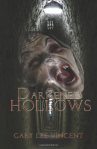Darkened Hollows by Gary Lee Vincent